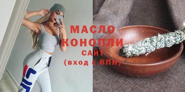 индика Бородино